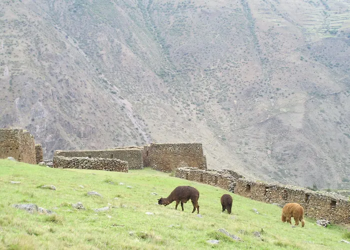 Qosqo Inka Dorado Hostal